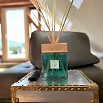 Historical Luxury Homes - Exclusive Selection フライブルク