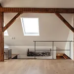 Historical Luxury Homes - Exclusive Selection アパート フライブルク