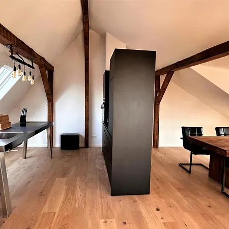 Historical Luxury Homes - Exclusive Selection * Freiburg im Breisgau