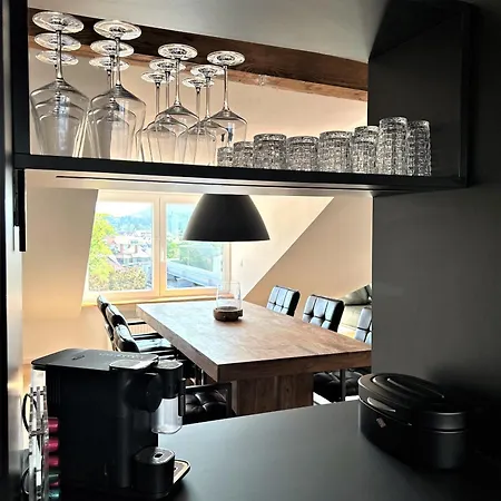 Historical Luxury Homes - Exclusive Selection * Freiburg im Breisgau