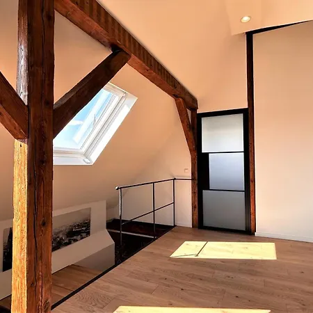 Historical Luxury Homes - Exclusive Selection Freiburg im Breisgau