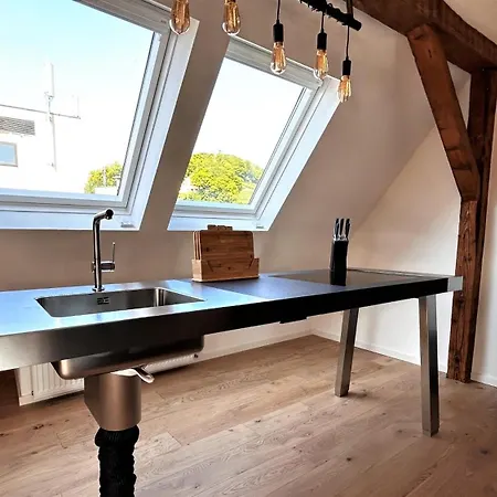 Historical Luxury Homes - Exclusive Selection Freiburg im Breisgau