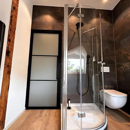 Apartment Historical Luxury Homes - Exclusive Selection Freiburg im Breisgau