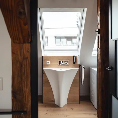 Historical Luxury Homes - Exclusive Selection * Freiburg im Breisgau