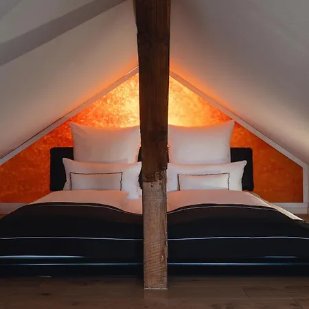 Historical Luxury Homes - Exclusive Selection Lejlighed Freiburg im Breisgau